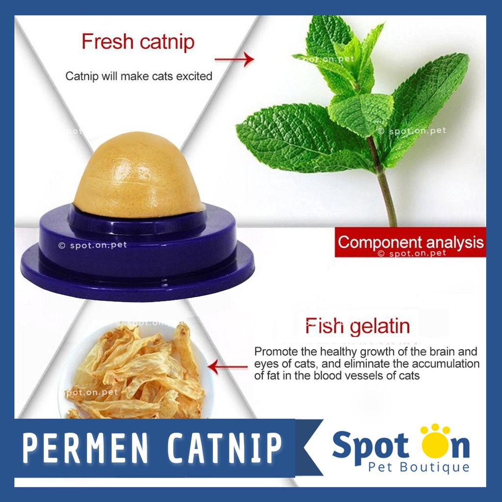 (Premium) Bola Catnip Vitamin Tempel | Permen Energi Vitamin Kucing | Snack Catnip Candy