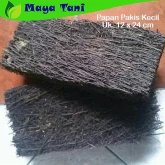 Pakis Papan Media Tanam Anggrek Besar 12 Cm X 24 Cm