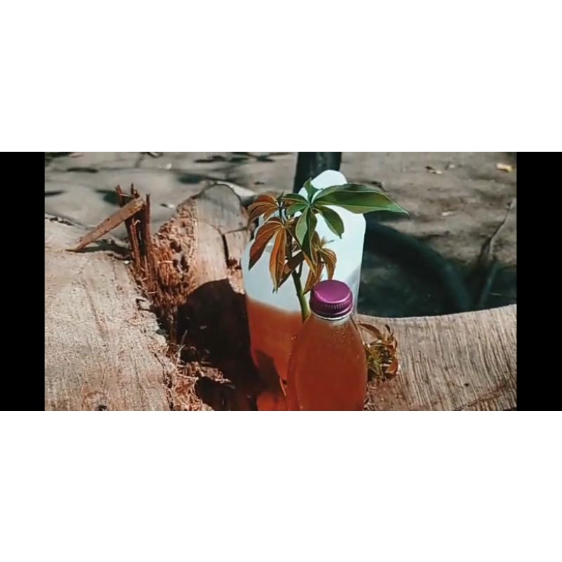 

Madu KIA | madu multiflora