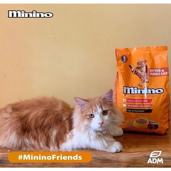 MININO 1 Kg Tuna All Stage  repack Makanan kucing Kering Made in Prancis