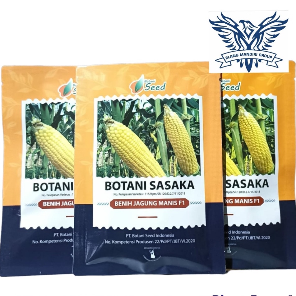 Benih Bibit Jagung Manis Unggul Sasaka 8 Gr Botani Seed