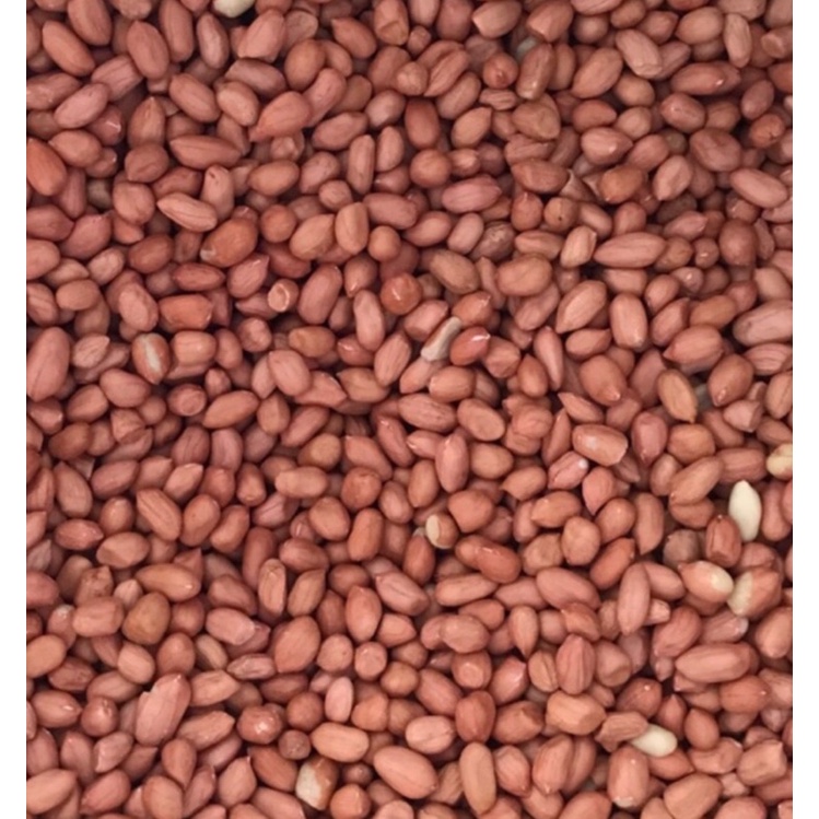 

KACANG TANAH 1/4kg