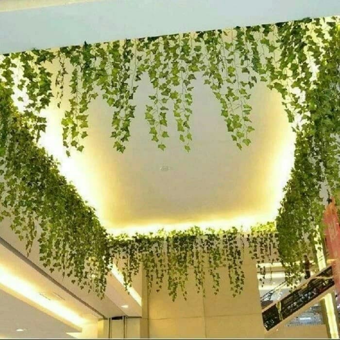 Tanaman Hias Gantung Daun Anggur Sintetis / Plastik