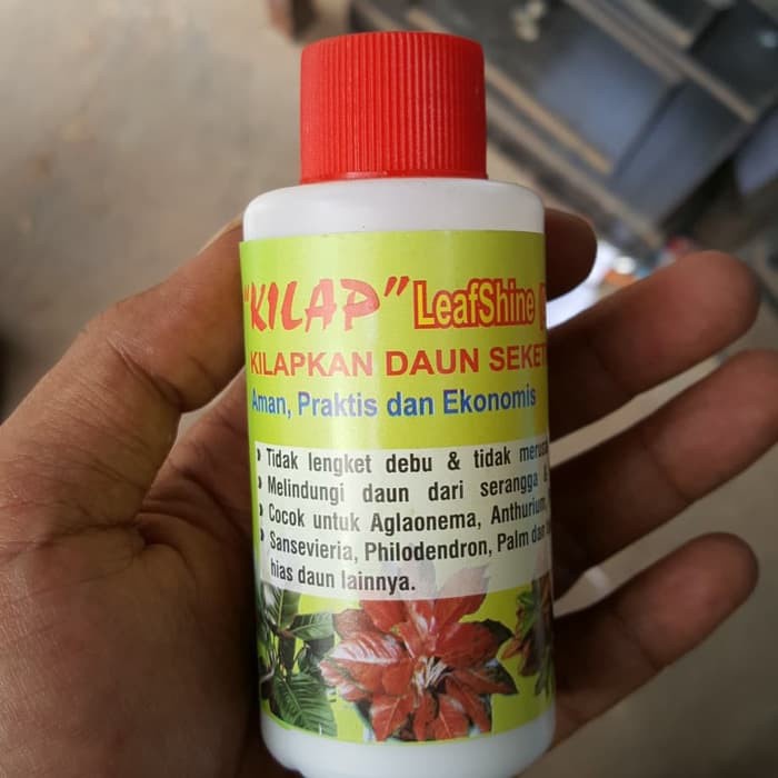 Pengkilap daun KILAP - leaf shine - kilap daun