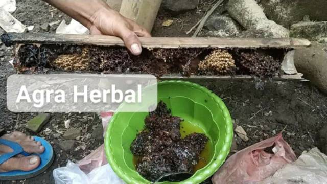 

2Xbtygneal Sakha Snack ) Madu Sarang Klanceng Trigona Lanceng Kelulut Asli Murni 300Gram