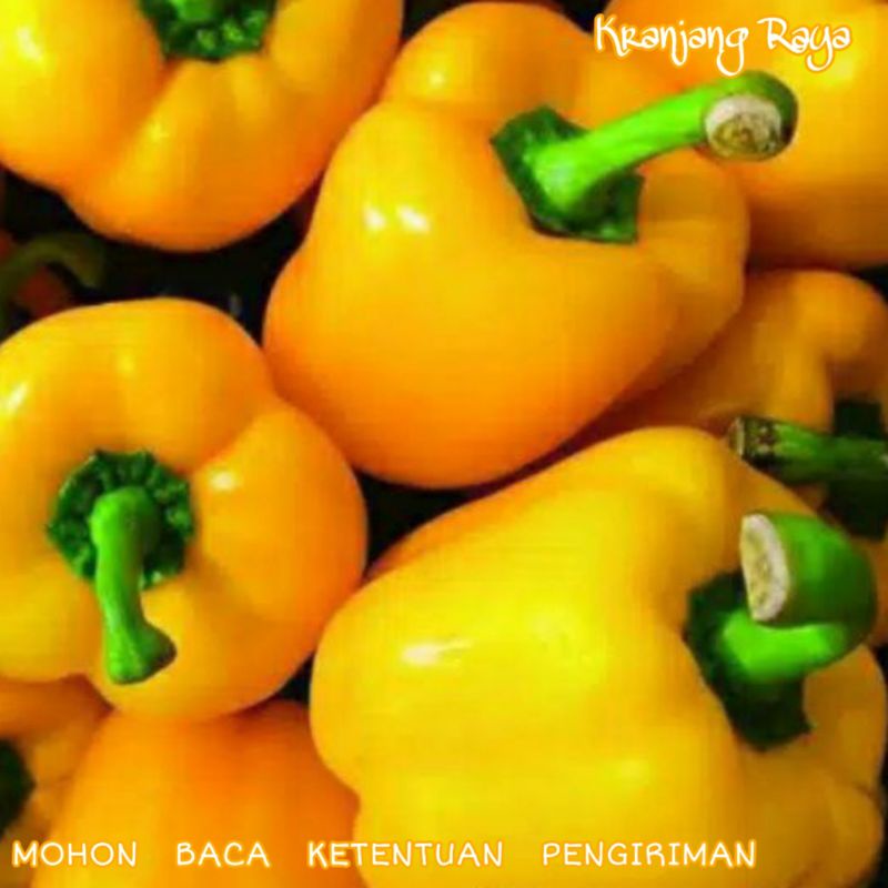 

Paprika Kuning