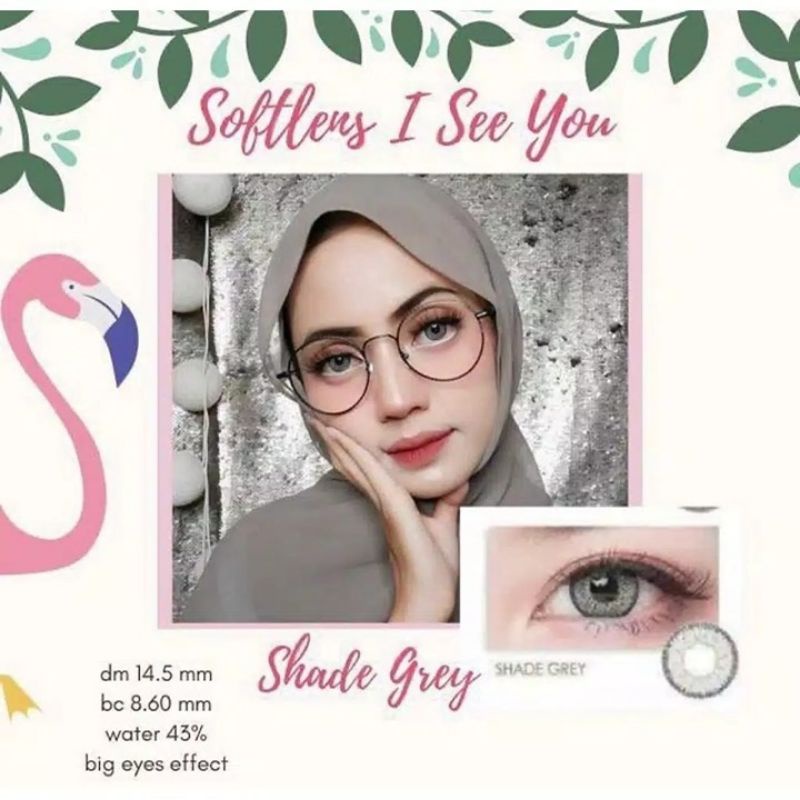 softlens i see you share grey