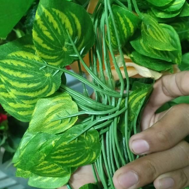Daun Rambat, Tanaman Rambat, Daun Palsu untuk Dinding