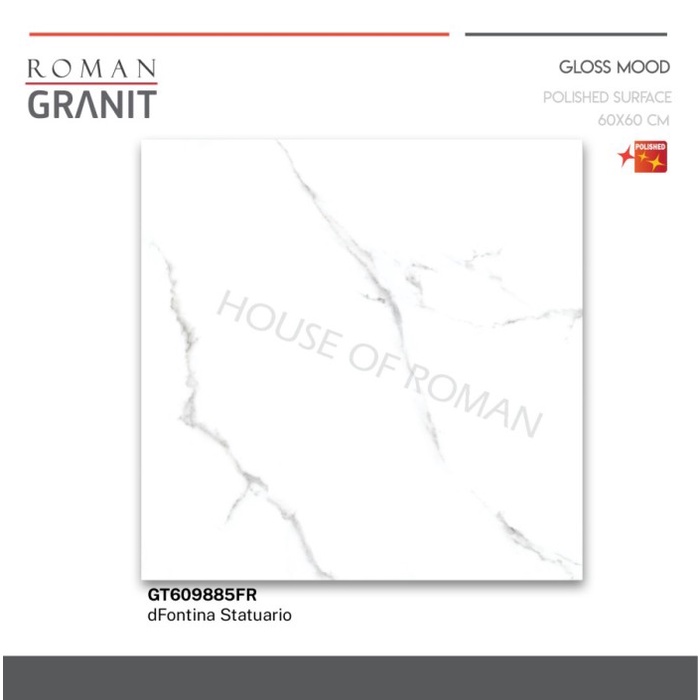 TERLARIS ROMAN GRANIT 60 X 60 GT609885FR DFONTINA STATUARIO