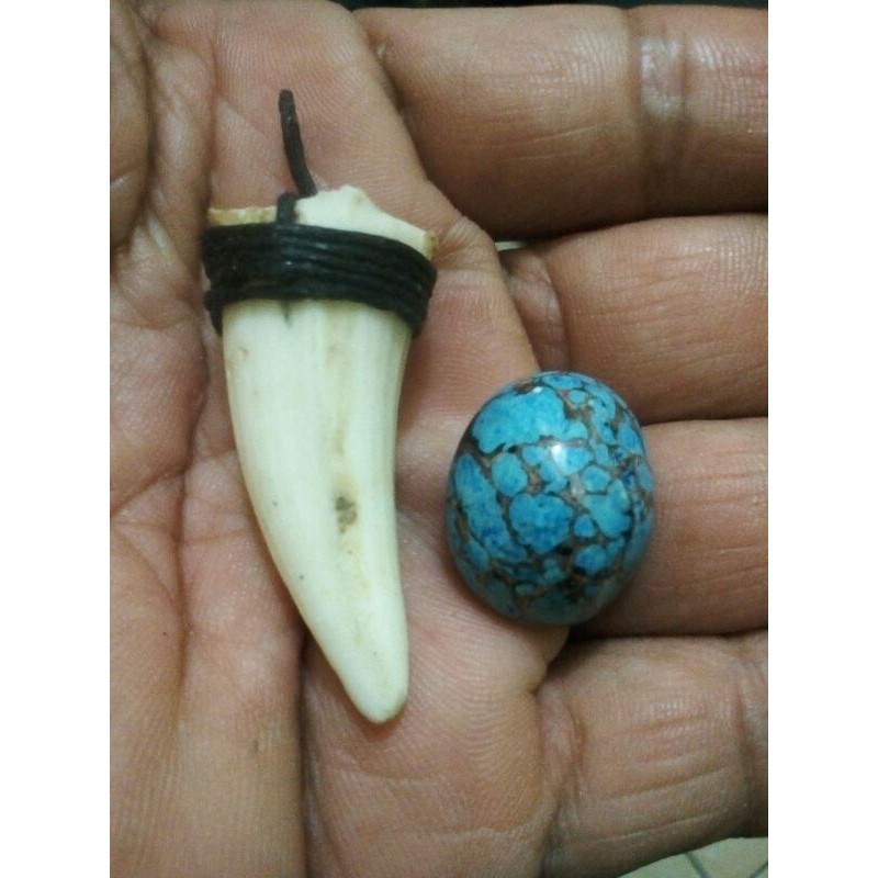 TARING BUAYA ORIGINAL