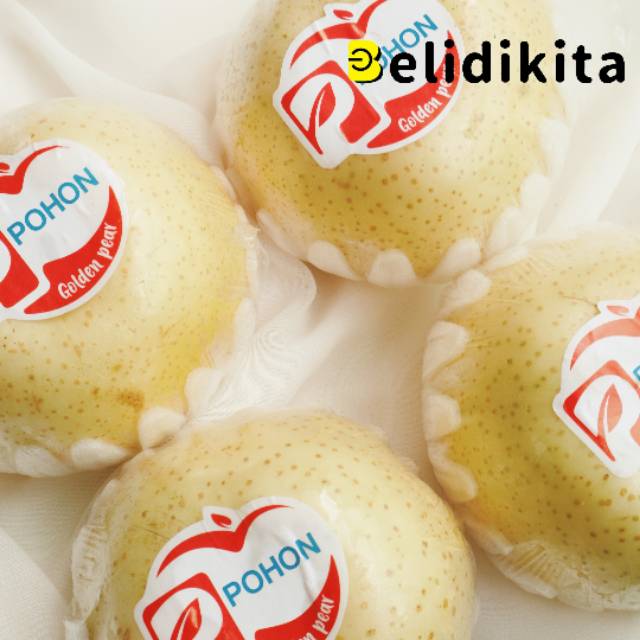 

Pear Golden | Pear Putih Jumbo