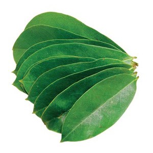 

Daun sirsak segar (untuk kesehatan alami )