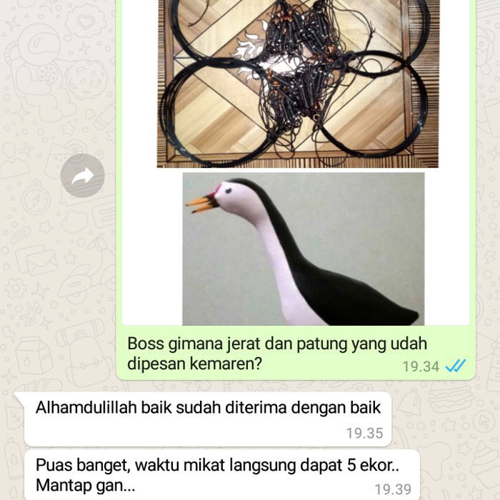 Perangkap Burung Ruak Ruak Dan Ayam Hutan Br953 Shopee Indonesia