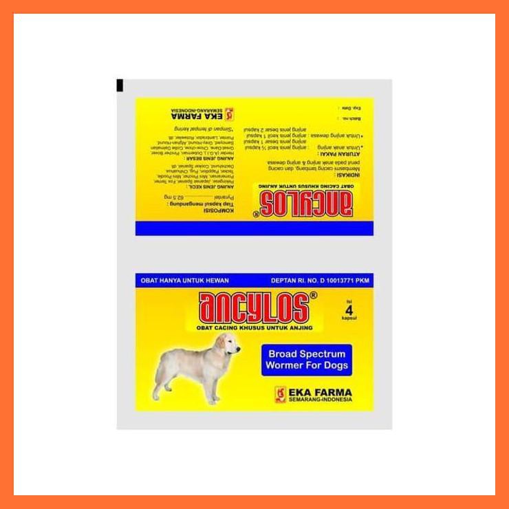 Obat Cacing Anjing Obat Hewan Obat Anjing