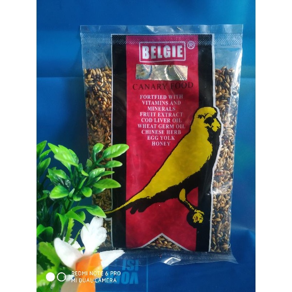 Belgie kanari-pakan burung belgie kenari