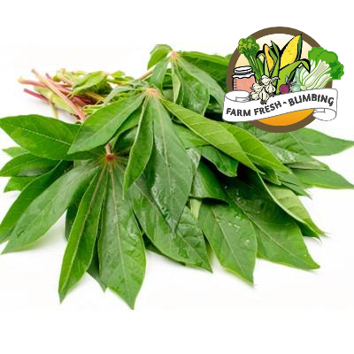 

daun singkong per ikat