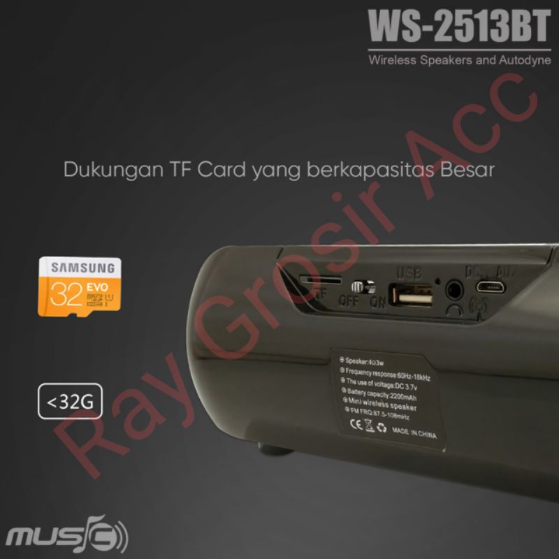 Speaker Bluetooth Wireless WSTER WS-2513BT LED LIGHT HIGH BASS