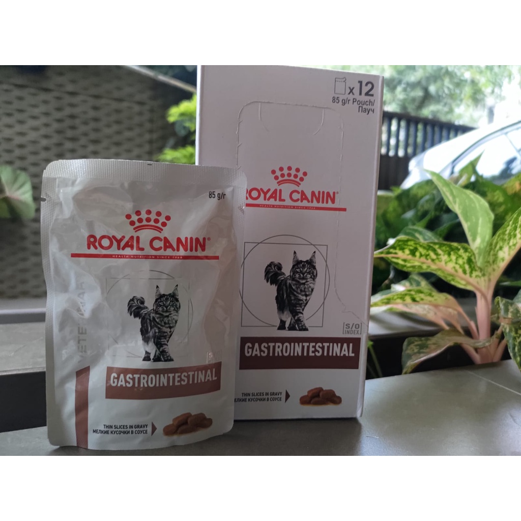 Royal Canin Gastrointestinal Vet Cat Wet Food 85gr