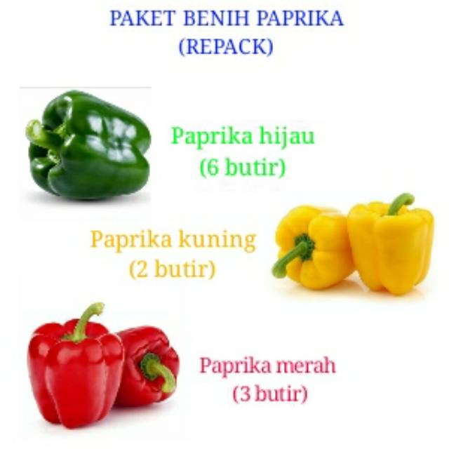Paket bibit benih paprika (repack)