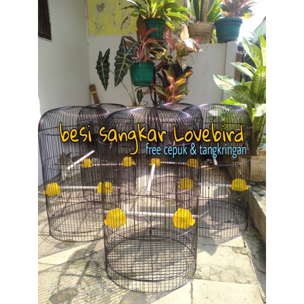 RAM BESI / SANGKAR BESI LOVEBIRD LOKAL SSS