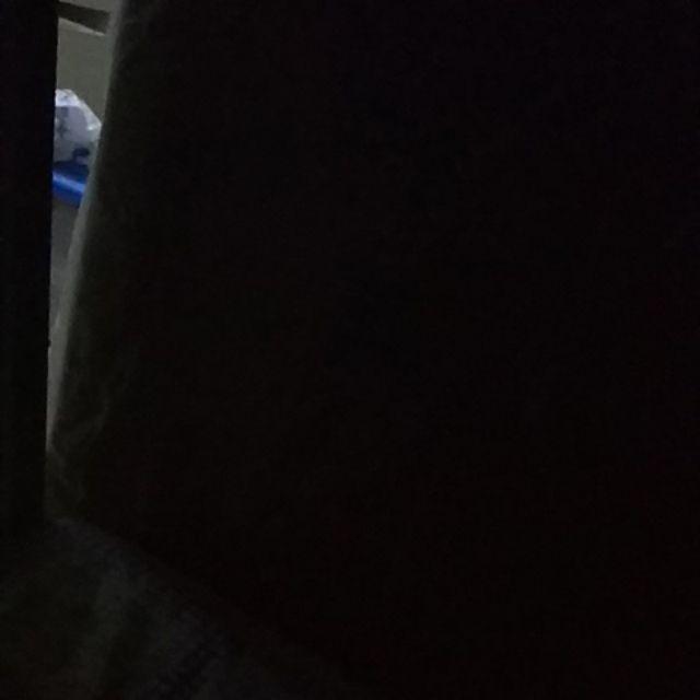 Tanaman Airis Tanaman Hias Iris