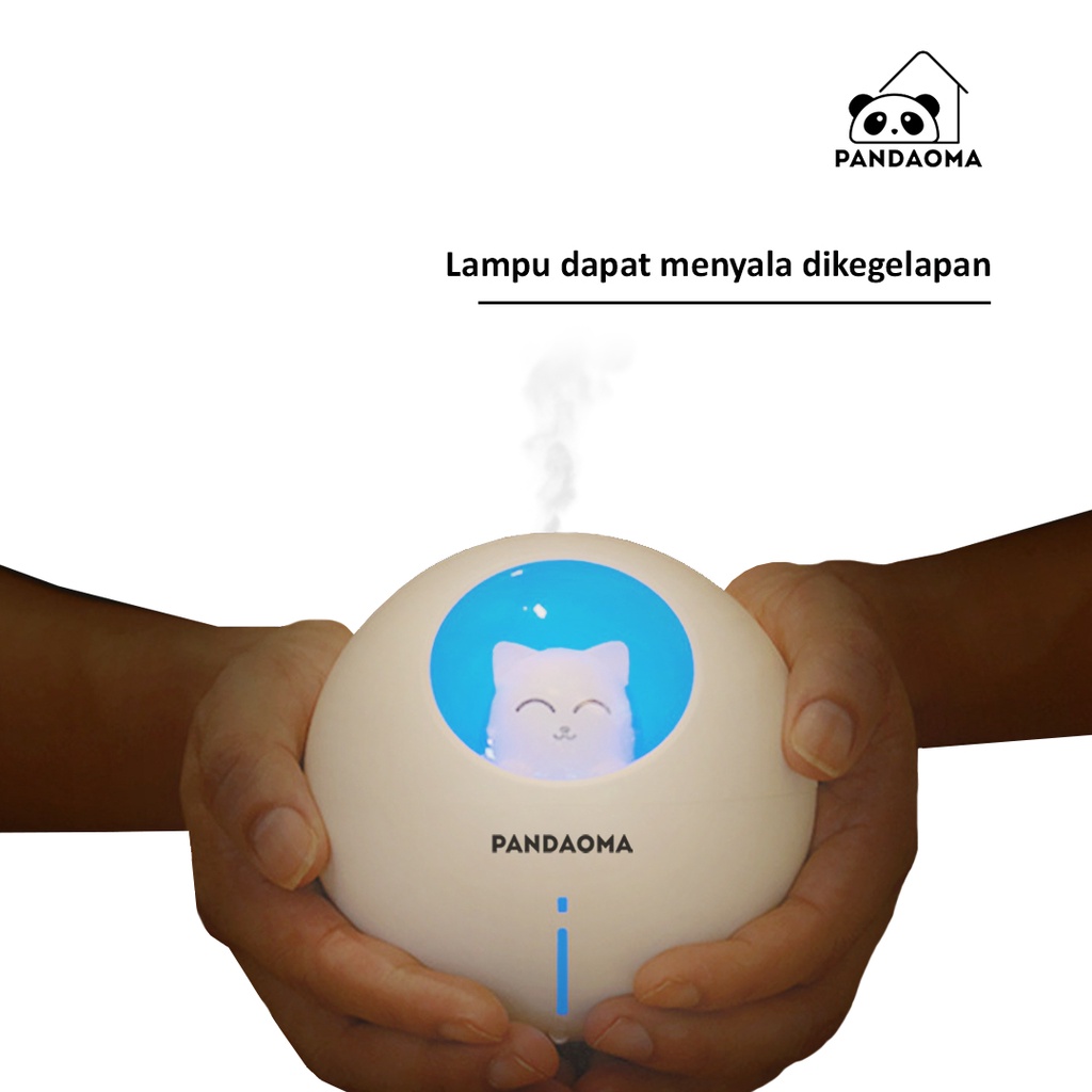 Pandaoma Diffuser Humidifier Portable 220 ML Diffuser D127-3