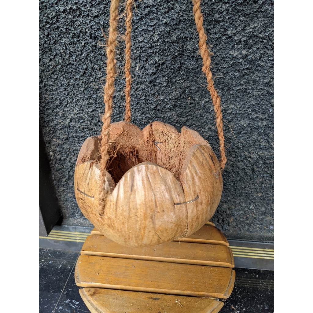 Pot Sabut Kelapa / Pot Serabut Kelapa / Pot Anggrek / Pot Gantung / Pot Tempel