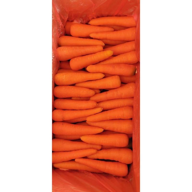 

Wortel brastagi fresh murah