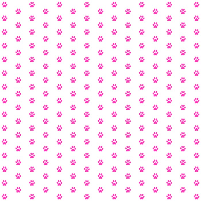 Kertas Scrapbook - Paw Design (1)