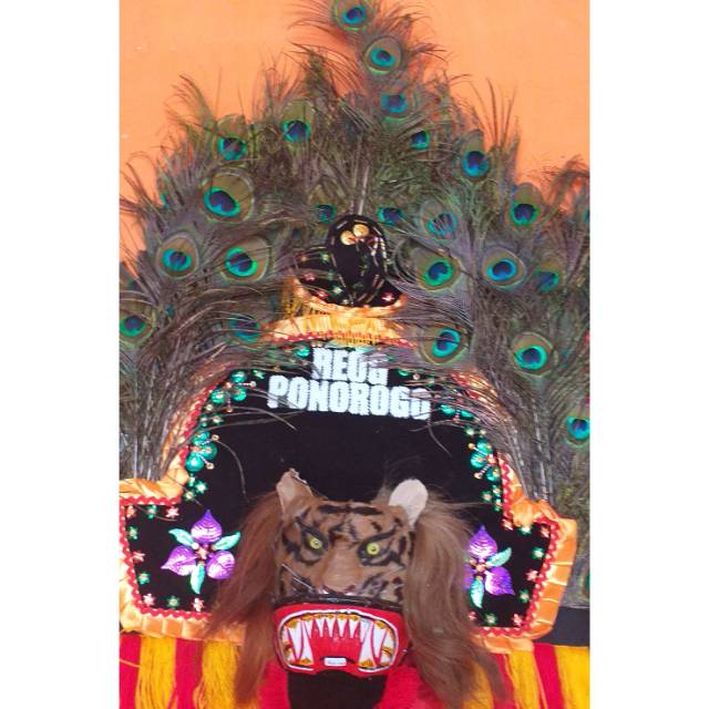 Reog kecil ukuran 60 tinggi asli dadak merak 100%.