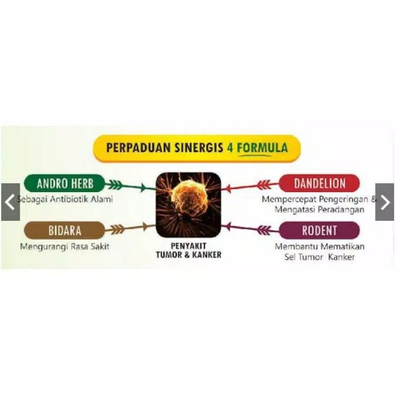 Obat Kanker Dan Obat Tumor PTK ASM-MD Herbal PAKET OBAT HERBAL KANKER DAN TUMOR ORIGINAL 101%