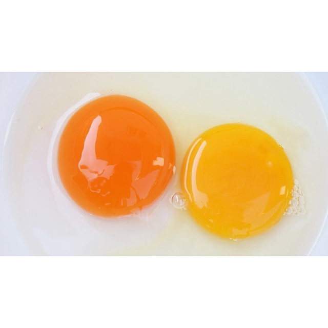 

Telur Ayam Omega 3 1kg