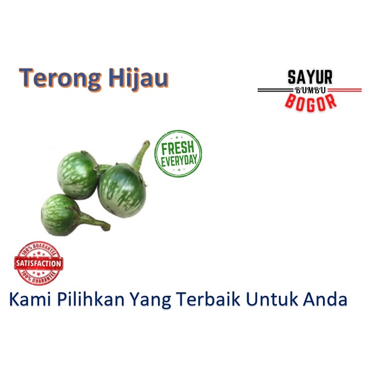 

Terong Hijau / Terong Lalap / Terong Mentah / Terong Sayur