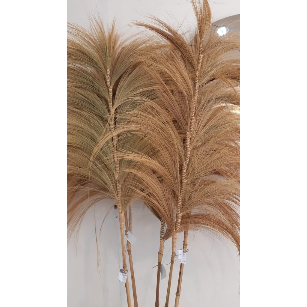 rayung kering dekorasi