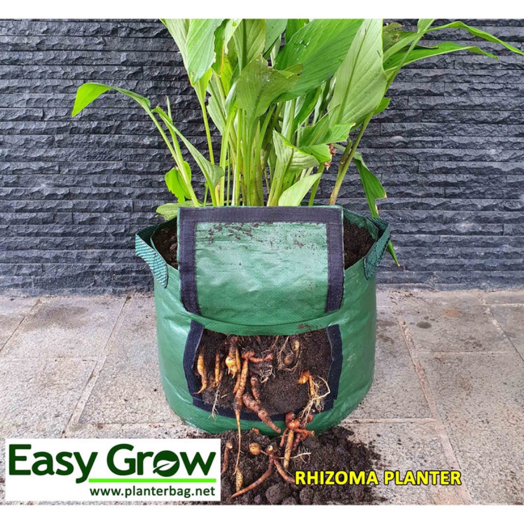 EASY GROW - RHIZOMA PLANTER BAG size S - pot jahe - planter jahe - pot rimpang - planter rimpang