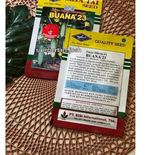 LANGSUNG ATC.. Benih Timun Hibrida F1 BUANA 23 - 20 Gram Cap Kapal Terbang