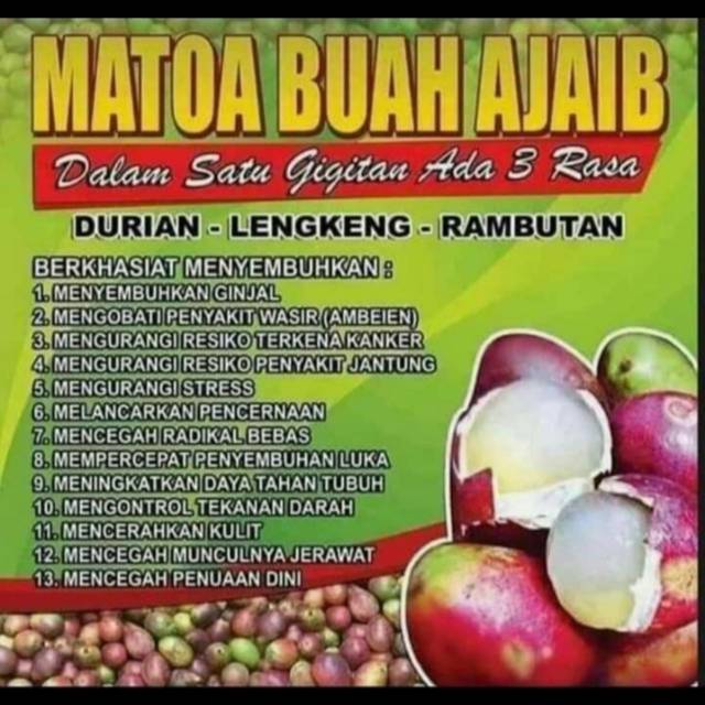 

Buah matoa