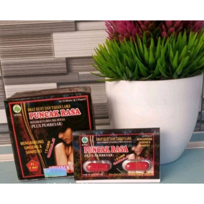 PUNCAK RASA kapsul original