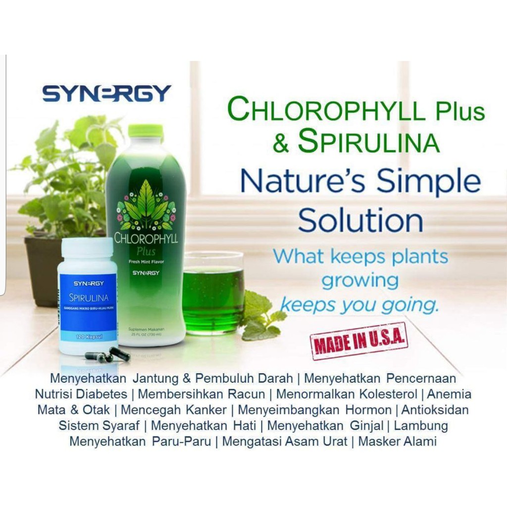 SUPLEMEN/HERBAL Vitamin Untuk Anemia (Klorofil + Spirulina Synergy)