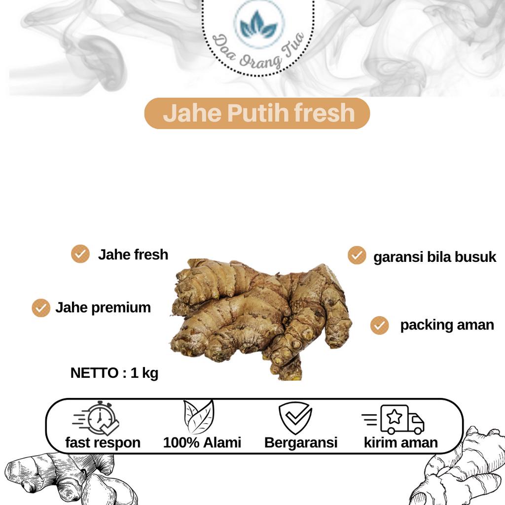 

Jahe putih Fresh Premium 1kg