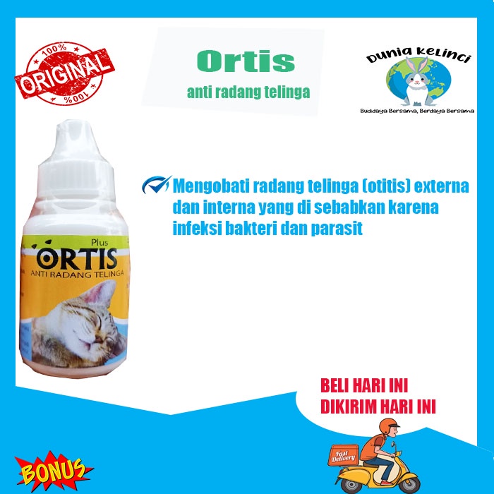 Obat Radang Telinga Kucing ORTIS Kutu Telinga Kucing Earmites