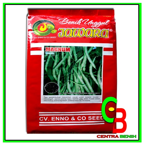 Benih buncis unggul MAGNUM 500 gram - Bibit buncis