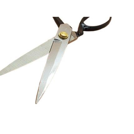 

✦ Gunting Butterfly 10” ✿