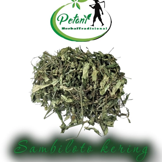 Sambiloto kering 1kg sambiloto cacah kering