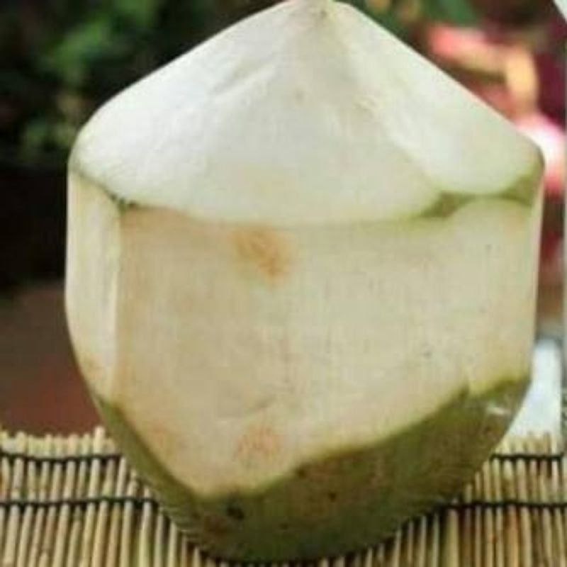 

Kelapa Muda utuh segar