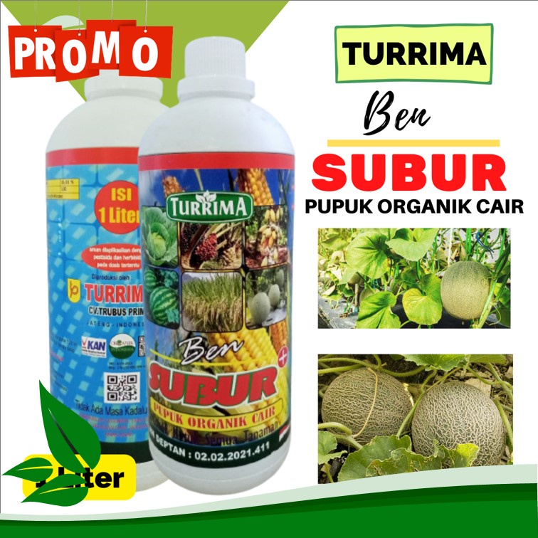 BEN SUBUR pupuk organik bagus untuk tanaman melon, Nutrisi penyubur Buah Melon