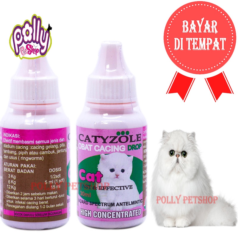 Harga Obat Kucing Sakit Terbaru November 2021  BigGo Indonesia