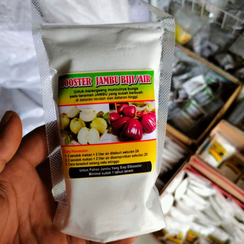 Booster perangsang bibit jambu air cepat buah bungga