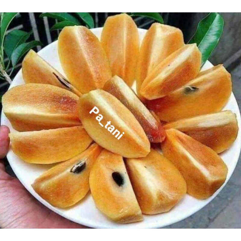 

SAWO MANIS