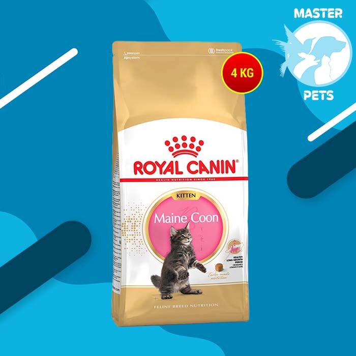 Makanan Kucing Royal Canin Kitten Maine Coon 4 Kg